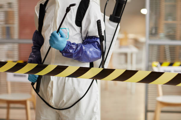 Professional Blood Cleanup technician working in El Nido, CA